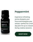 OilyPod 5 Senses Set