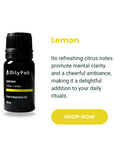 OilyPod 5 Senses Set
