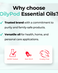 OilyPod Good Night Essential Oil Blend 10ml