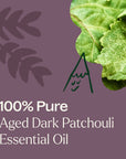 Plant Therapy Aged Dark Patchouli Essential Oil