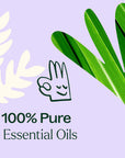 Plant Therapy Anti Age Essential Oil Blend