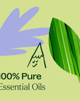 Plant Therapy Balance Essential Oil Blend