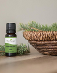 Plant Therapy Balsam Fir Essential Oil