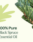 Plant Therapy Spruce Black Essential Oil