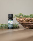 Plant Therapy Spruce Black Essential Oil