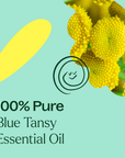 Plant Therapy Blue Tansy Organic Essential Oil