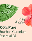 Plant Therapy Geranium Bourbon Essential Oil