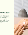 Plant Therapy Brain Aid Essential Oil Blend