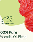 Plant Therapy Brain Aid Essential Oil Blend