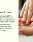 Plant Therapy Camellia Seed Carrier Oil