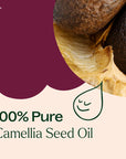 Plant Therapy Camellia Seed Carrier Oil