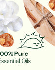 Plant Therapy Chakra Synergies Essential Oil Set
