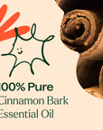 Plant Therapy Cinnamon Bark Essential Oil