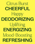Plant Therapy Citrus Burst Essential Oil Blend