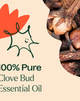 Plant Therapy Clove Bud Essential Oil
