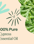 Plant Therapy Cypress Essential Oil
