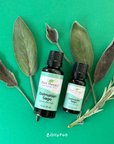 Plant Therapy Sage Dalmatian Essential Oil