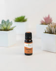 Plant Therapy Davana Essential Oil
