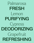 Plant Therapy Deodorizing Powder