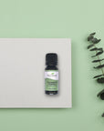 Plant Therapy Eucalyptus Globulus Essential Oil