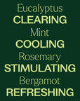 Plant Therapy Eucalyptus Mint Essential Oil Blend