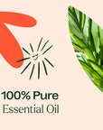 Plant Therapy Eucalyptus Mint Essential Oil Blend