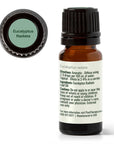 Plant Therapy Eucalyptus Radiata Essential Oil