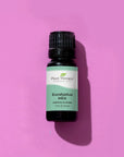 Plant Therapy Eucalyptus Mint Essential Oil Blend