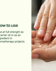 Plant Therapy Fractionated Coconut Carrier Oil