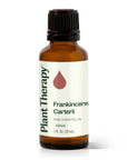 Plant Therapy Frankincense Carterii Essential Oil