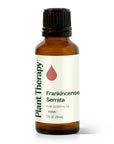 Plant Therapy Frankincense Serrata Essential Oil