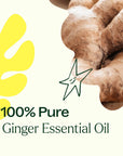 Plant Therapy Ginger Essential Oil