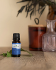 Plant Therapy Ho Wood Essential Oil