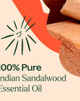 Plant Therapy Sandalwood Indian Essential Oil