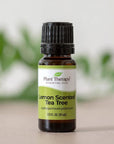 Plant Therapy Lemon Scented Tea Tree Essential Oil