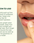 Plant Therapy Love Your Lips Natural Lip Balm Trio Set