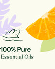 Plant Therapy Meditation Essential Oil Blend