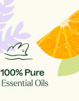 Plant Therapy Meditation Essential Oil Blend