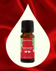 Plant Therapy Nutcracker Essential Oil Blend