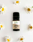 Plant Therapy Chamomile Roman Essential Oil