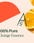 Plant Therapy Orange Essence Oil 10ml