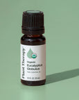 Plant Therapy Eucalyptus Globulus Organic Essential Oil