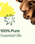 Plant Therapy Germ Fighter Organic Essential Oil Blend