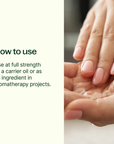 Plant Therapy Jojoba Organic Carrier Oil