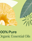 Plant Therapy Immune Aid Organic Essential Oil Blend