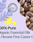 Plant Therapy Organic Lavender & Frankincense Castor Body Oil Roll-On 30 mL