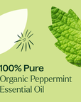 Plant Therapy Peppermint Organic Essential Oil