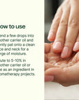 Plant Therapy Rosehip Extra Virgin Carrier Oil