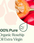 Plant Therapy Rosehip Extra Virgin Carrier Oil