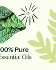 Plant Therapy Pain Support Essential Oil Blend Set